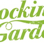 Rocking The Daisies in your Gardens!