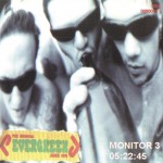 Before Die Antwoord there was...