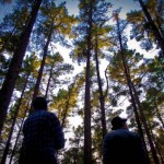 Music Video: Popskarr - Tonight!