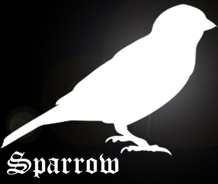 sparrow